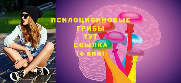 соль курить ск Каменногорск