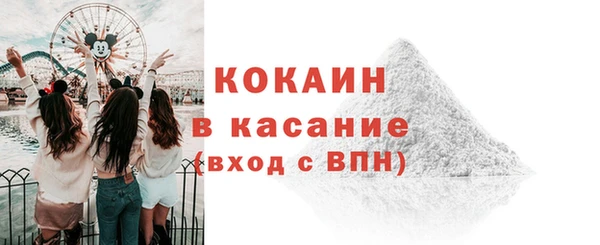 индика Инсар