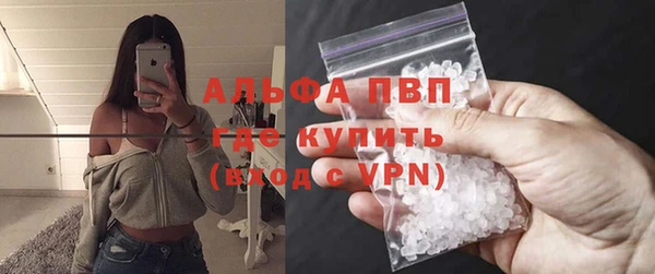 индика Инсар