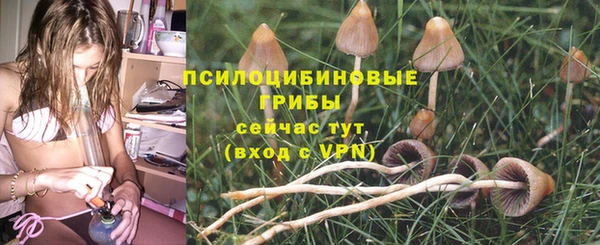 a pvp Иннополис