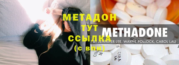 индика Инсар