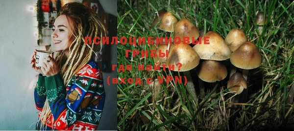 гидропоника Инта