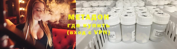 индика Инсар