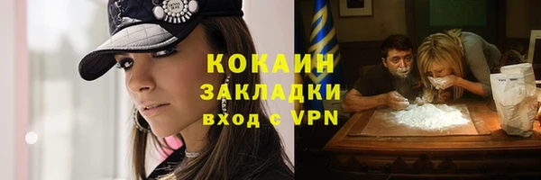 индика Инсар