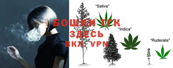 гидропоника Инта