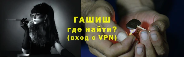 индика Инсар
