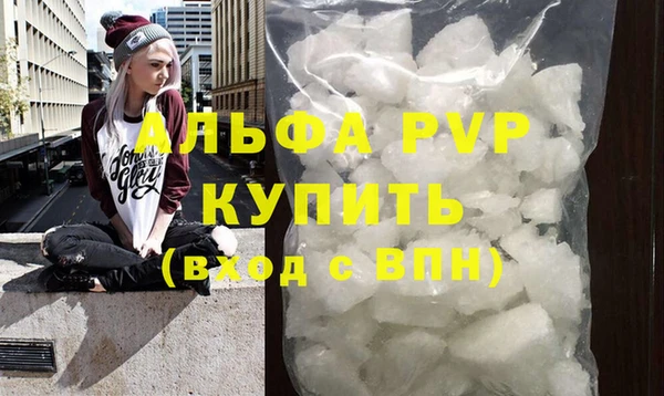 индика Ростов