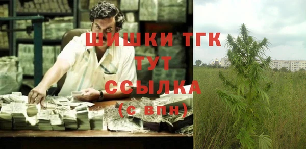 гидропоника Инта