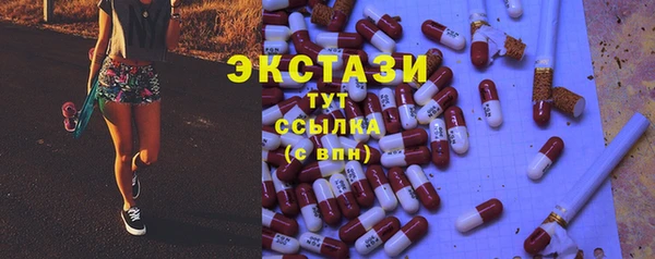 индика Инсар