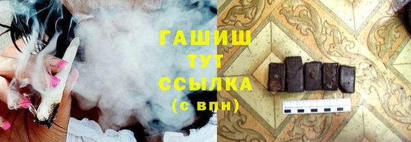 индика Инсар