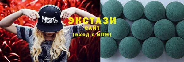 индика Инсар