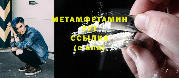 индика Инсар